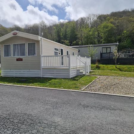 The Tiddler - Plot 101, Woodlands Lodge Retreat, New Quay, West Wales Llanina Ngoại thất bức ảnh